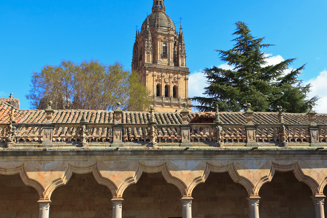 catedral_desde_patioEscuelas